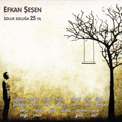 Soluk Soluğa 25 Yıl album cover