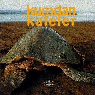 Denize Doğru album cover