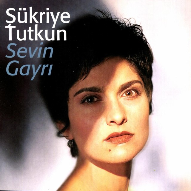 Sevin Gayrı album cover