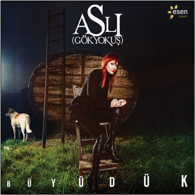 Büyüdük album cover