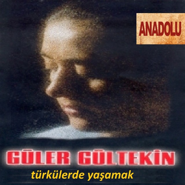 Türkülerde Yaşamak album cover
